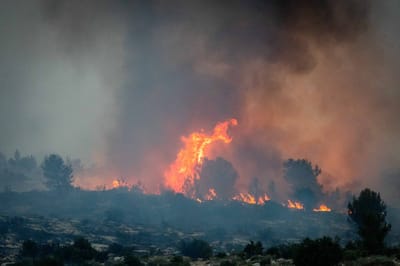 מאמצי הכיבוי נמשכים: סיכום ביניים של השריפה בהרי ירושלים
