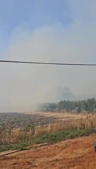 הושגה שליטה על השריפה בכפר אביב: בתי התושבים ניצלו