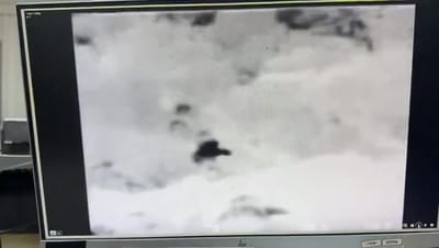 המחבל פותח באש ונמלט: תיעוד מפיגוע הירי בברוכין