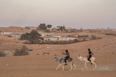 בנייה בלתי חוקית בנגב |