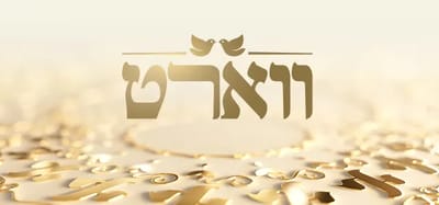 ווארט. (באדיבות רשת 13)