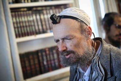 הרב דב קוק