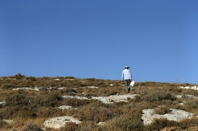 ממשלת ימין? 2 נערי גבעות נעצרו במאחז בבנימין