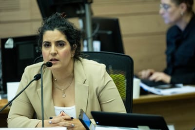 יועמ"שית הכנסת שגית אפק