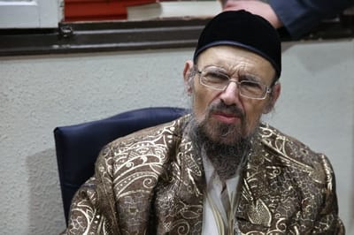 הרב דב קוק