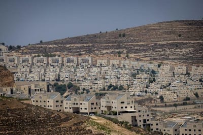 גבעת זאב
