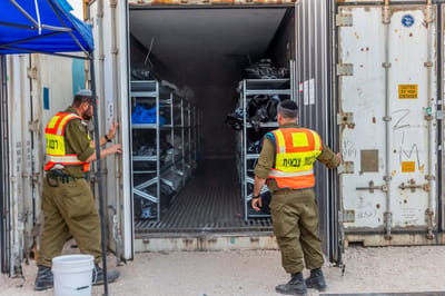"המוח שלי מערבב ריח חיטוי עם ריח של גופות"