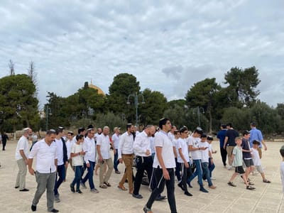 יהודים בהר הבית