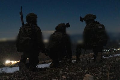 לוחמי צה"ל