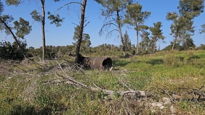 קק"ל מודיעה על סגירה מיידית של כל היערות והאתרים ברחבי הארץ