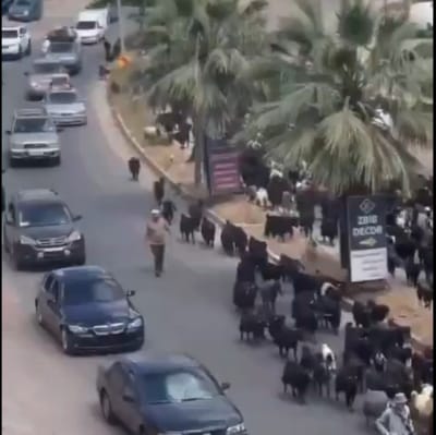 תושבי נבטיה לא מפחדים מצה"ל וכבר מתחילים לחזור הביתה