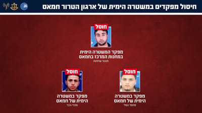 מפקד המשטרה הימית