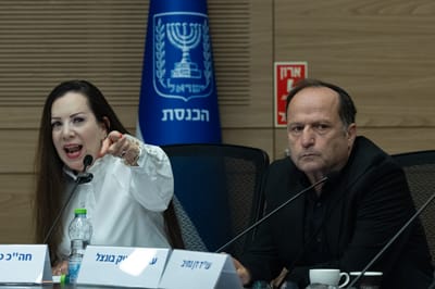 טלי גוטליב 
