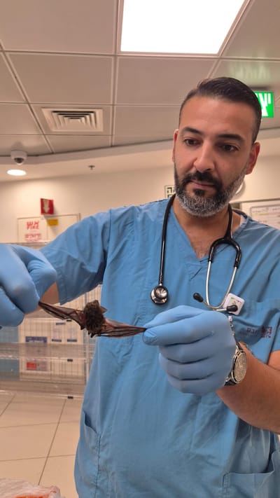 ריאד שיח', אח אחראי במלר"ד הילדים ברמב"ם והעטלף