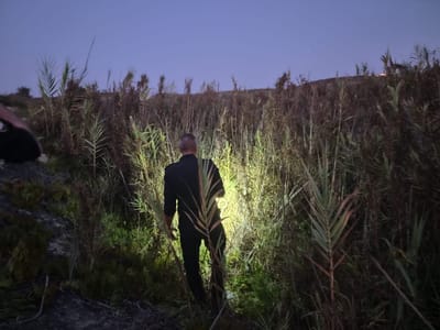נמשכים החיפושים אחרי בן ה-4 שנעלם: "אולי זו חטיפה"