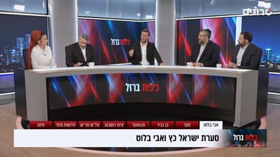 פאנל כיפות ברזל