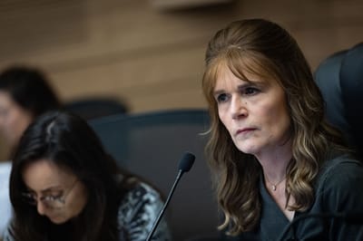 חה"כ מיכל וולדיגר