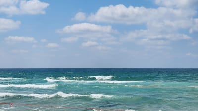הים הרגוע והמטעה 