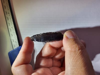 אחד מראשי החץ שנמצאו
