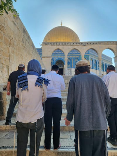 יהודי עם פשמינה בהר הבית