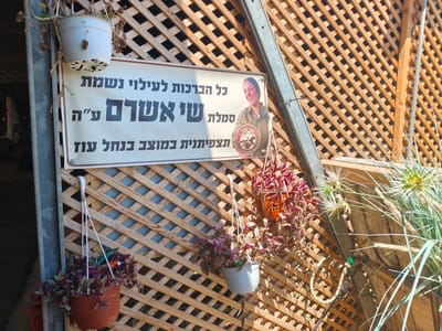  קפה שישו