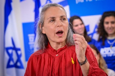 "אסור להשתיק; טוב שיש ביקורת": ב'דמוקרטים' מגיבים לסרט נגד צה"ל


