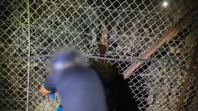 לכידת המבריחים