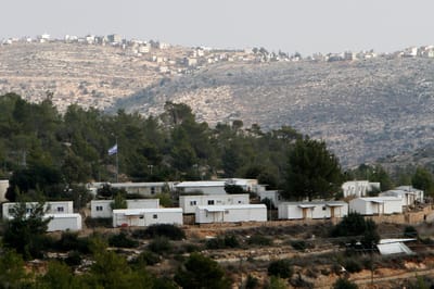 נווה צוף. ארכיון