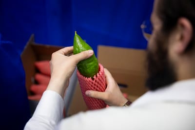 אתרוג ירוק עם פיטם