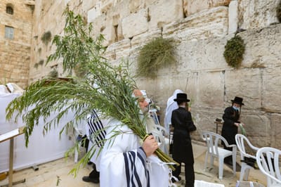 הושענא רבה בכותל המערבי