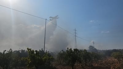 מטוסים משתתפים בכיבוי השריפה