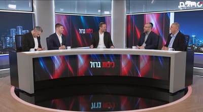 כיפות ברזל על המטוס המצרי, גנץ ומנדלבליט