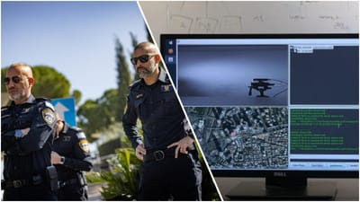 כוחות אבטחה ופריצת מערך אבטחה 