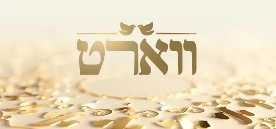 ווארט. (באדיבות רשת 13)