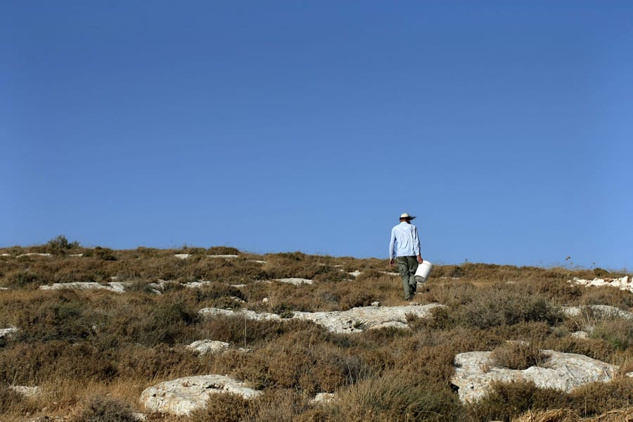 בנימין