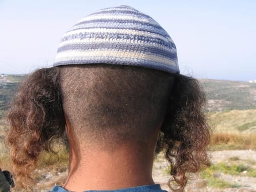 החפרפת