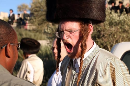 זעם חרדי: "גונן גינת, שרלו ובני לאו – איך אתם מעיזים?"