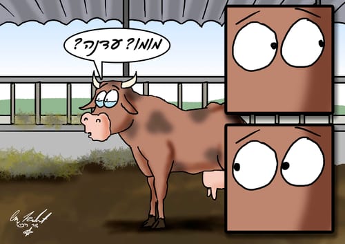 הקריקטורה היומית של אור רייכרט: יום אחרי יום העצמאות