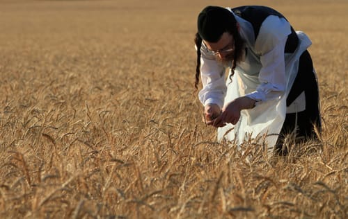 מכתב לחולדאי:במקום לדחות את החרדים הושט להם יד