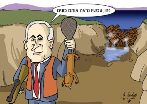 הקריקטורה היומית של אור רייכרט: ביבי-בונה והורס