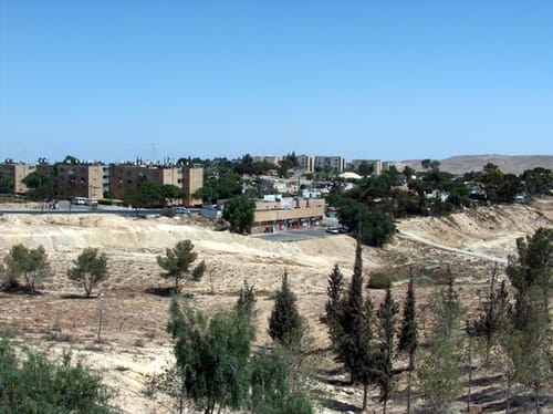 ראש עיריית ערד: העיר מאבדת את הרוב היהודי