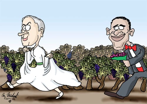 הקריקטורה היומית של אור רייכרט: ט"ו באב
