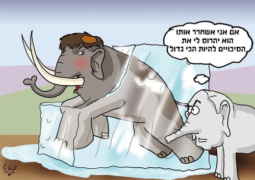 הקריקטורה היומית של אור רייכרט: הסיבות להמשך ההקפאה