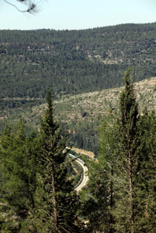 אושפיזין ביערות קק"ל – אירועי חג סוכות תשע"א