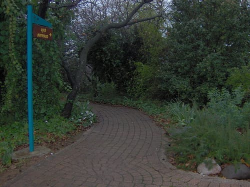 מה קורה כשיושבים חמישה ימים בלי להוציא מילה מהפה?