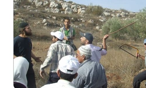 החלה עונת המסית: ביישובי השומרון מכינים תרופה למכה