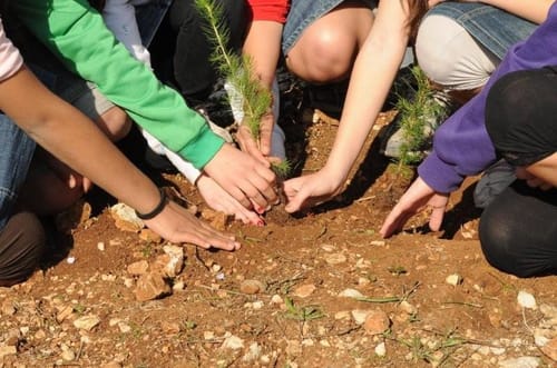 תמונות: נטיעות בבני עקיבא "צובעים את הארץ בירוק"