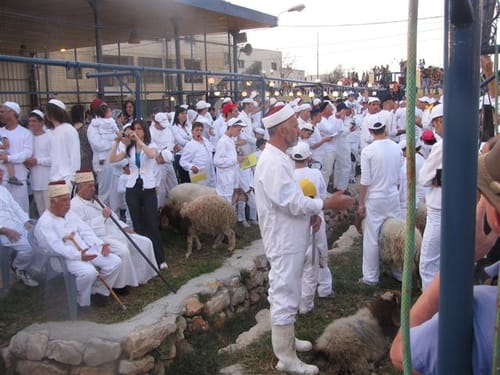 בקרוב אצלנו: השומרונים הקריבו אתמול קרבן פסח
