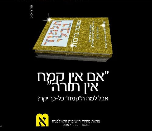 הורים: אם הועדה לא תתן פתרון ממשי נעתור לבג"צ