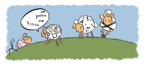 קריקטורה לכבוד שבת: פרשת ויצא